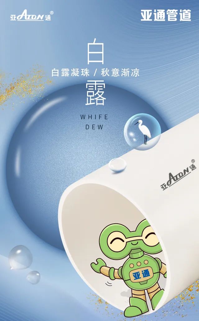 白露 | 白露凝珠，秋意漸涼