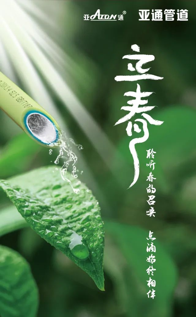 立春 | 聆聽春的召喚，點滴始終相伴