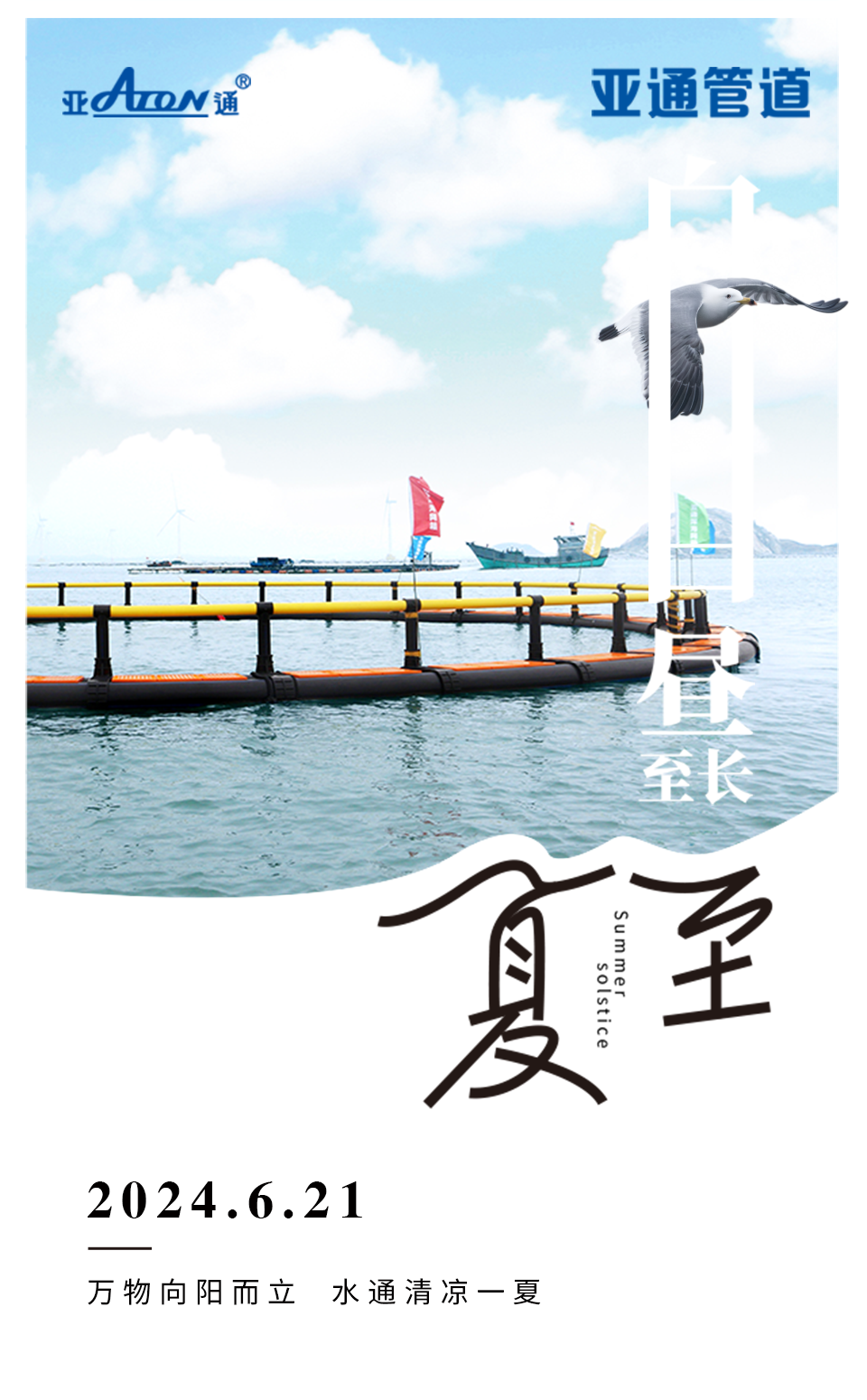 夏至 | 萬物向陽而立，水通清涼一夏