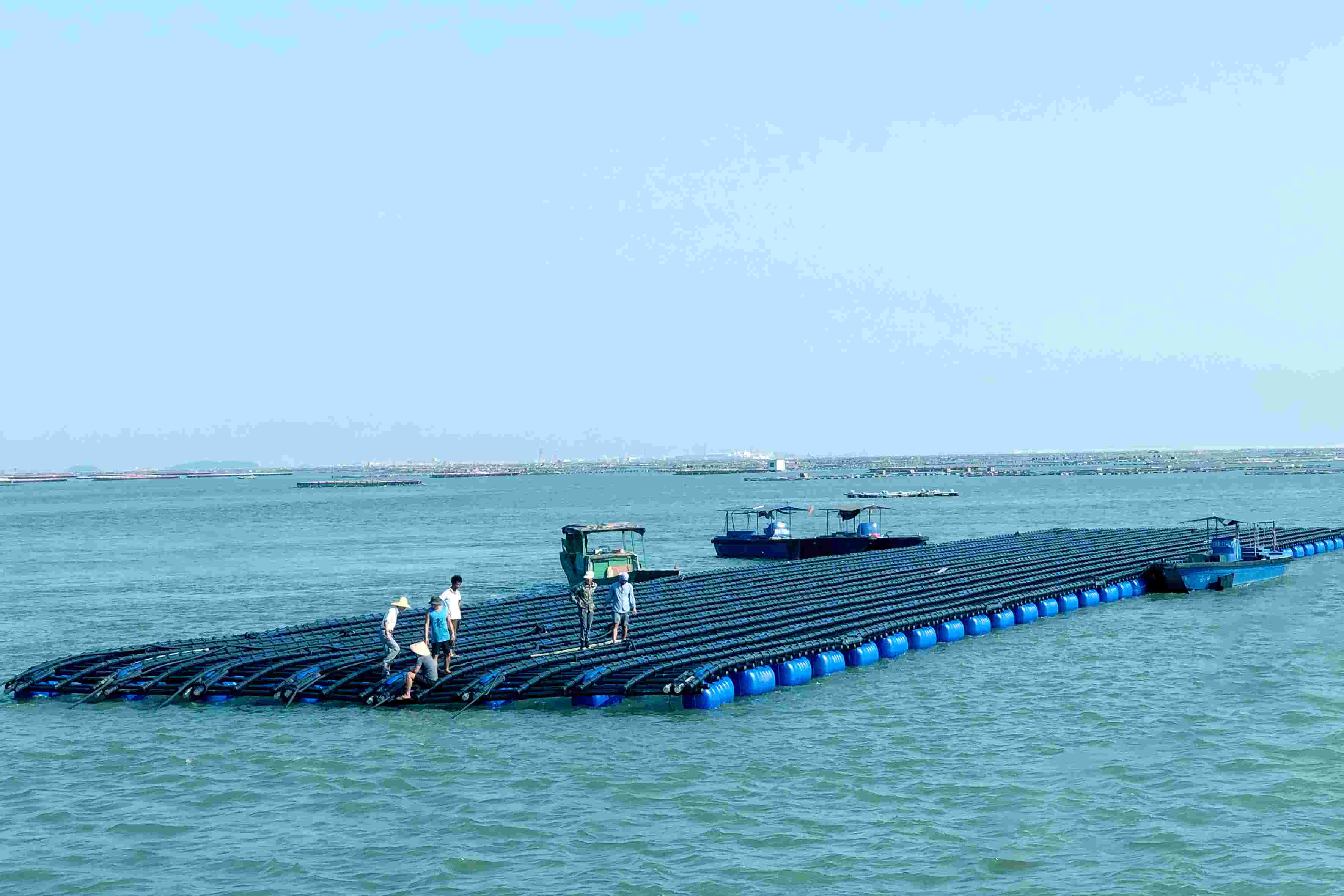 亞通海洋養(yǎng)殖裝備設(shè)施系統(tǒng)-深海抗風(fēng)浪蠔排(第一代)