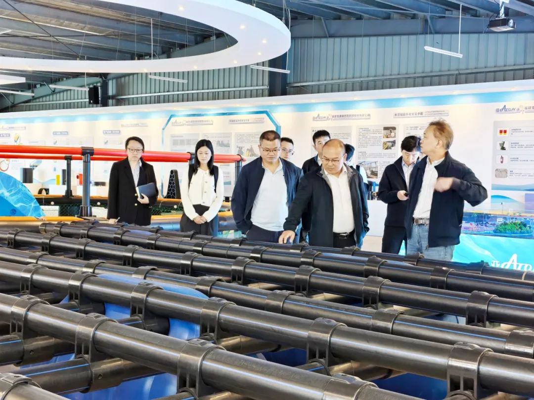 1764298943539962.jpg 5.jpg